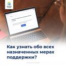 Меры поддержки.