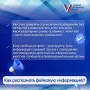 Выборы.