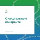 О социальном контракте.