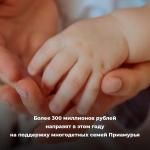 Поддержка многодетных семей Приамурья