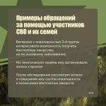 Фотодокумент 551 Фотодокумент 551