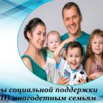 МСП Многодетным семьям