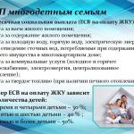 Фотодокумент 555 Фотодокумент 555