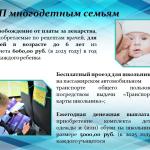 Фотодокумент 556 Фотодокумент 556