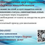 Фотодокумент 558 Фотодокумент 558