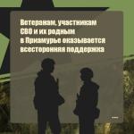 Поддержка ветеранов, участников СВО и их семей.