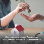 Миллион для многодетных.