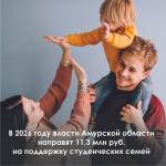 Поддержка молодых родителей.