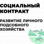 Социальный контракт.