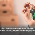 Господдержка на покупку жилья многодетным семьям.
