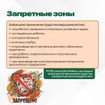 Фотодокумент 685
